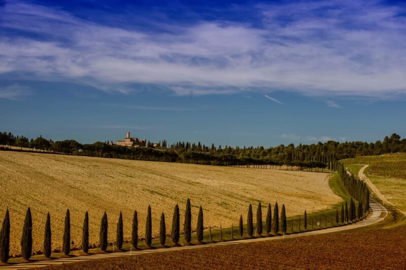 Montepulciano and Pienza: the best of Tuscany! - Discovering the Heart of Tuscany: An In-Depth Review