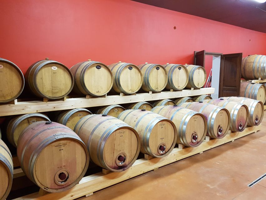 Montepulciano: Tuscan Winery Tour With Wine Tasting & Meal - Key Points