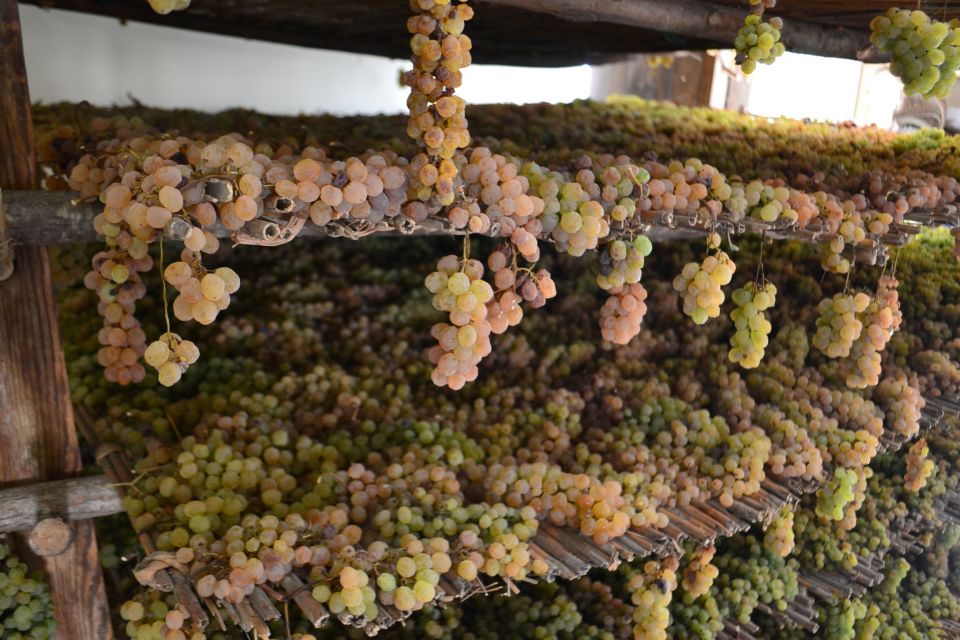 Montepulciano Wine & Cheese Tour With Lunch From Florence - Logistics