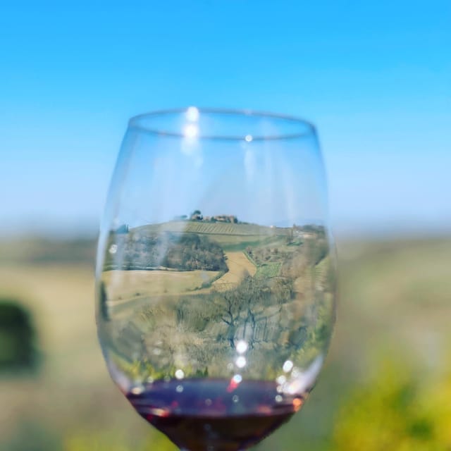 Montepulciano: Wine Tour and Tasting - Overview of the Montepulciano Wine Tour and Tasting
