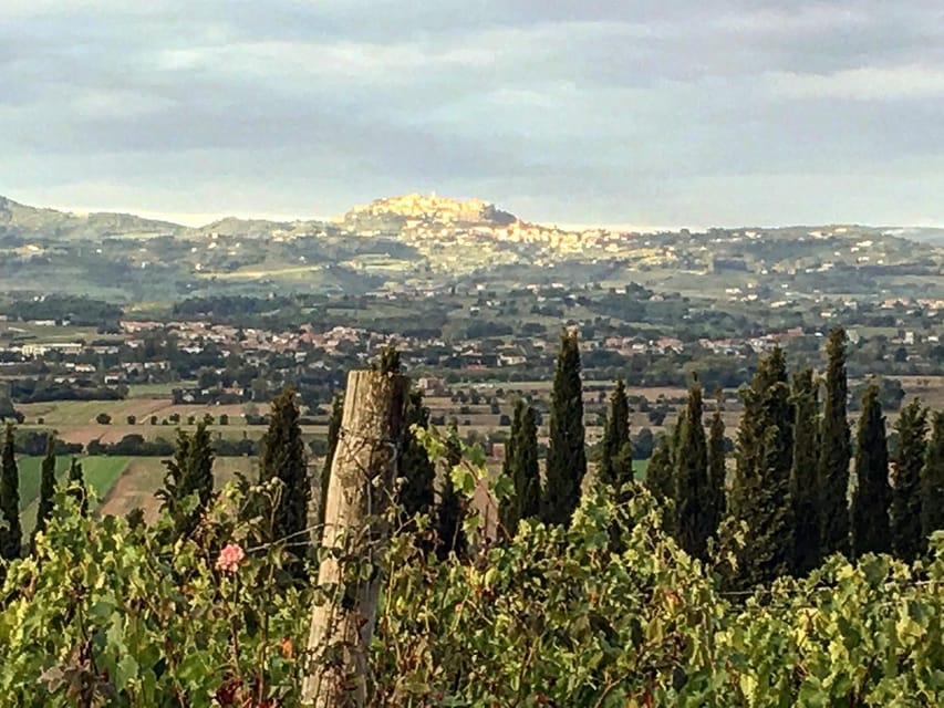 Montepulciano: Wine Tour and Tasting - The Vino Nobile Di Montepulciano DOCG Experience