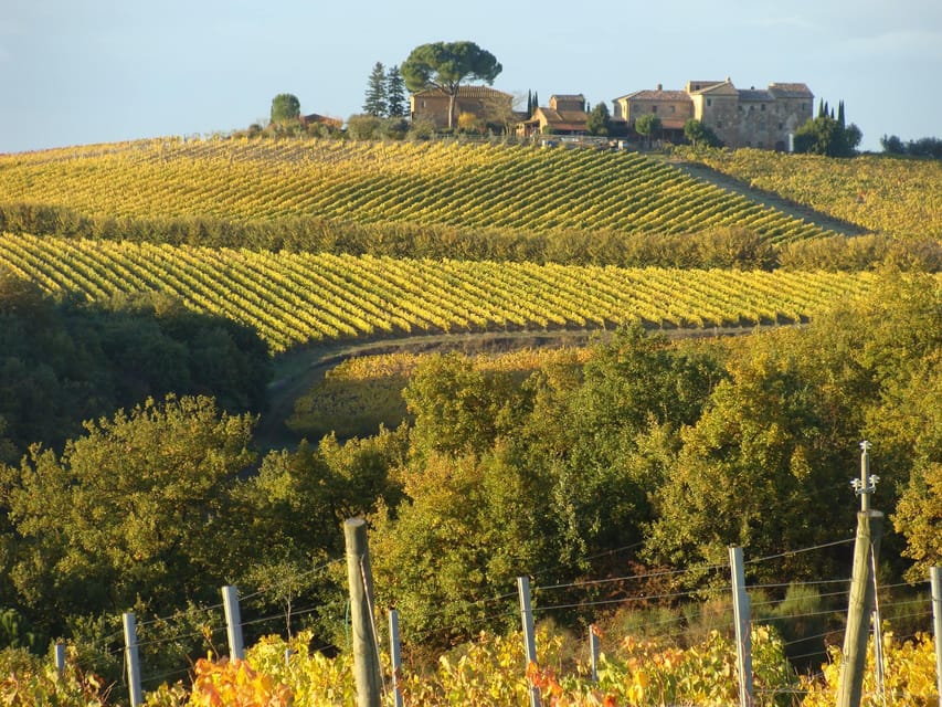 Montepulciano: Wine Tour and Tasting - Highlights of the Wine Tasting Experience