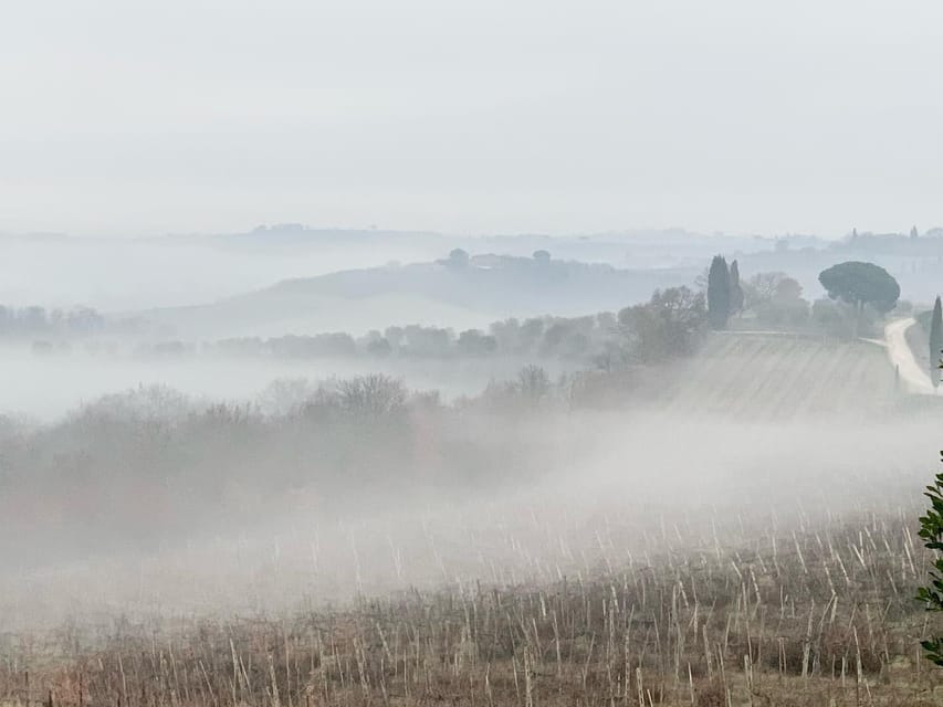 Montepulciano: Wine Tour and Tasting - Ask Away