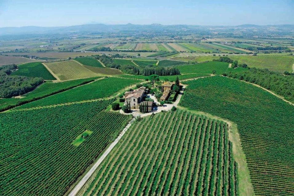 Montepulciano: Wine Tour and Tasting - Key Features of the Wine Experience