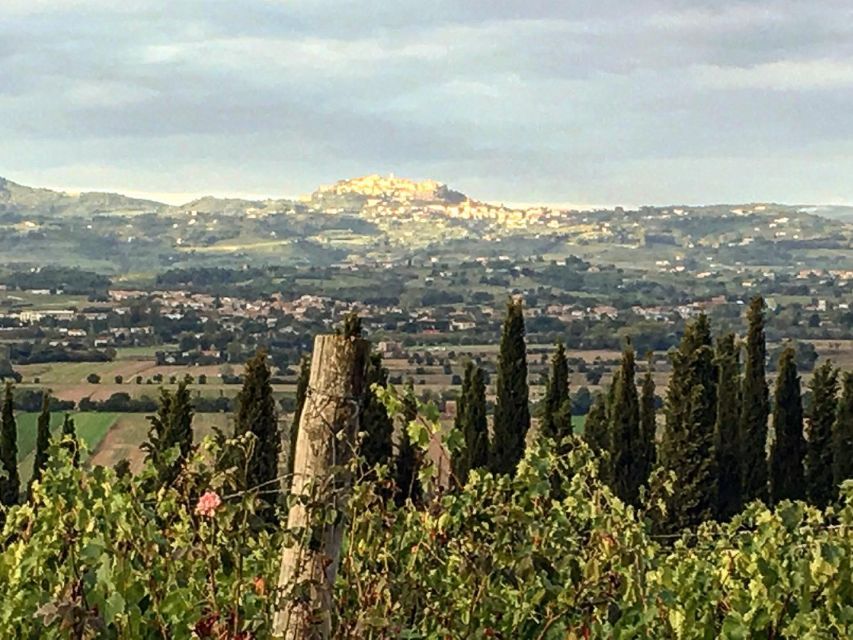 Montepulciano: Wine Tour and Tasting - Pricing and Reservation Details