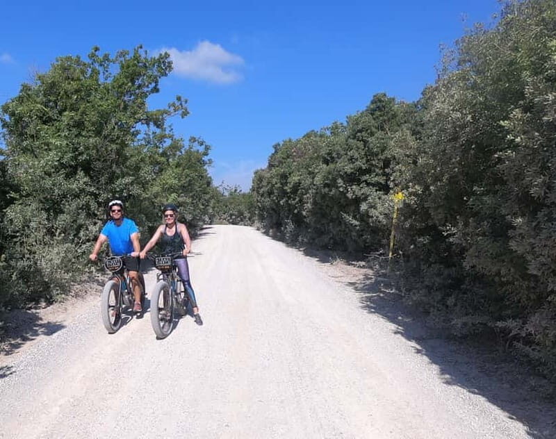 Montepulciano: Wine Tour E-Bike Experience - Wine Tastings and Cellar Tours