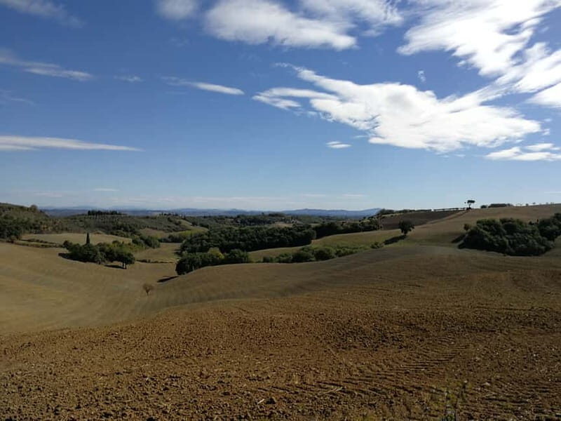 Montepulciano: Wine Tour E-Bike Experience - What Makes This Tour Stand Out?