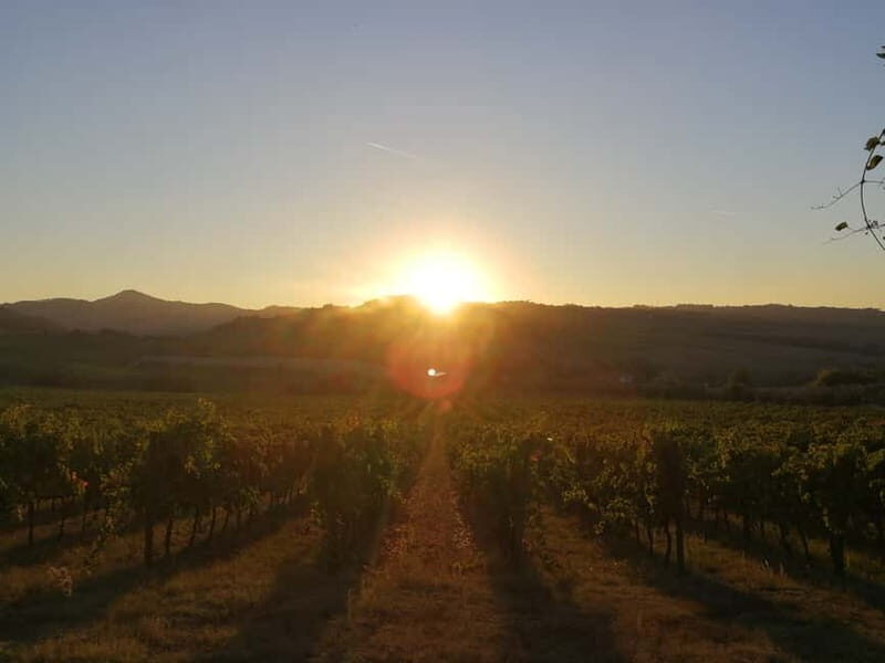 Montepulciano: Wine Tour E-Bike Experience - Who Should Consider This Tour?