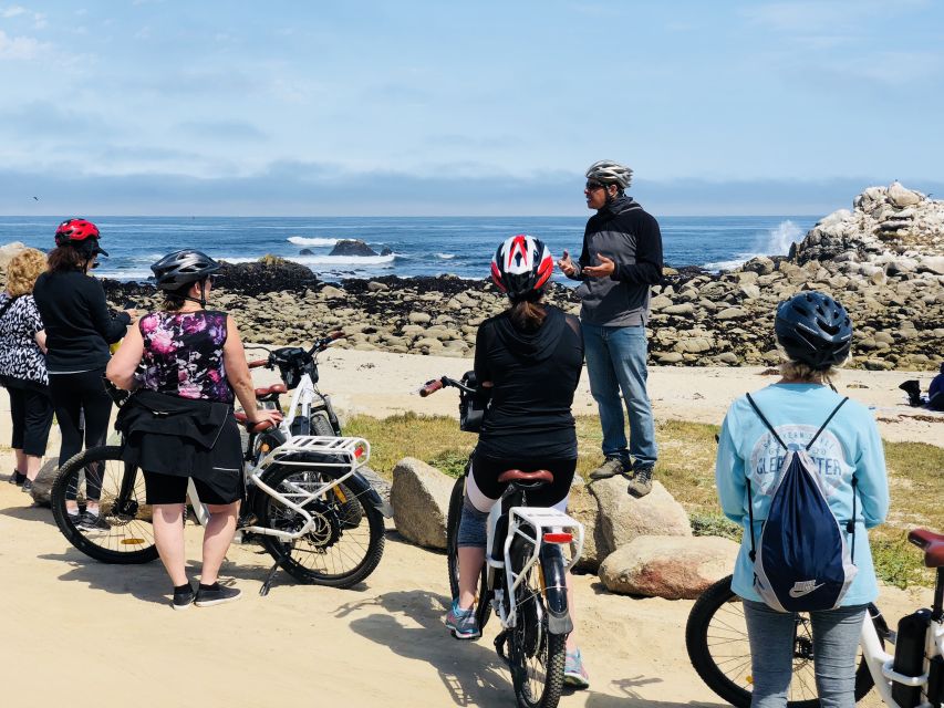 Monterey: 17-Mile Drive Guided E-Bike Tour - Marine Wildlife