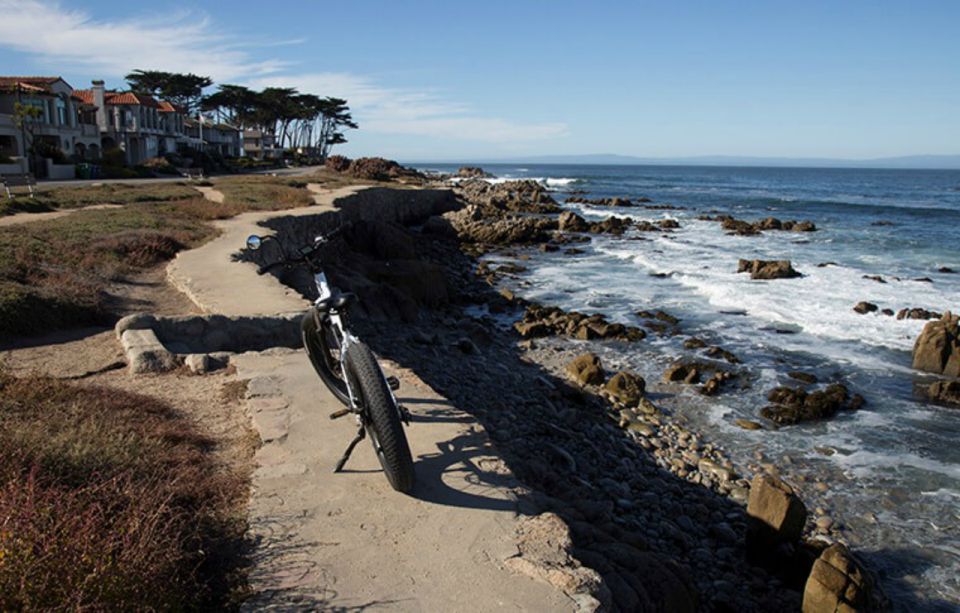 Monterey: 17-Mile Drive Guided E-Bike Tour - Lone Cypress Tree