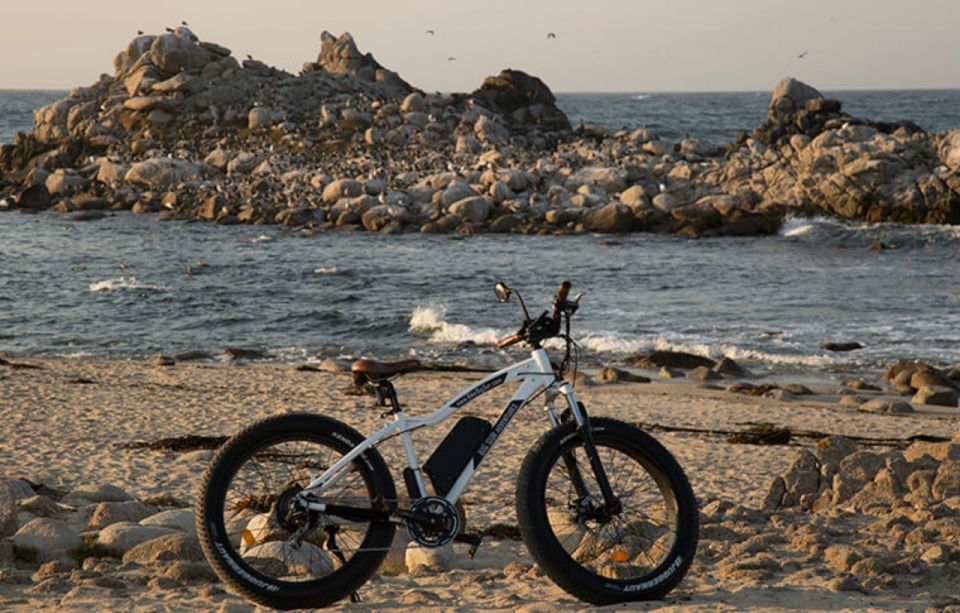 Monterey: 17-Mile Drive Guided E-Bike Tour - Tour Requirements