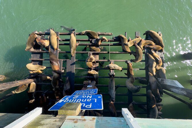 Monterey, Carmel, 17 Mile Dr, Big Sur & Mcway Falls PrivateTour - Exploring California’s Coastal Wonders: The Private Monterey, Carmel, 17 Mile Dr, Big Sur & McWay Falls Tour