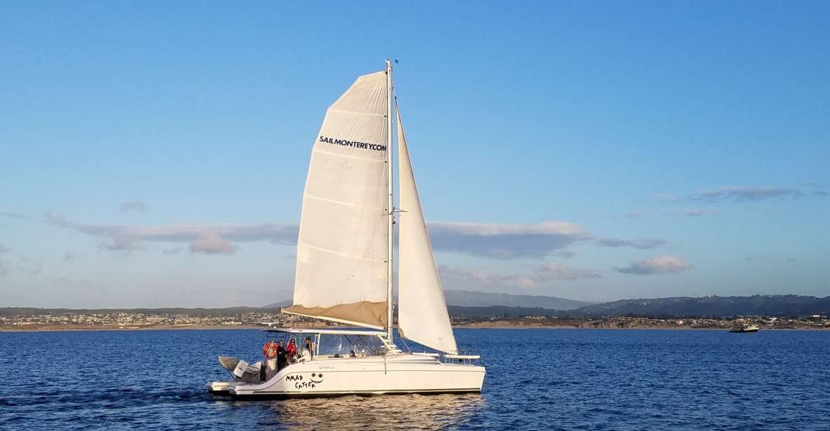 Monterey: Catamaran Sailing Cruise - Highlights of the Sailing Cruise