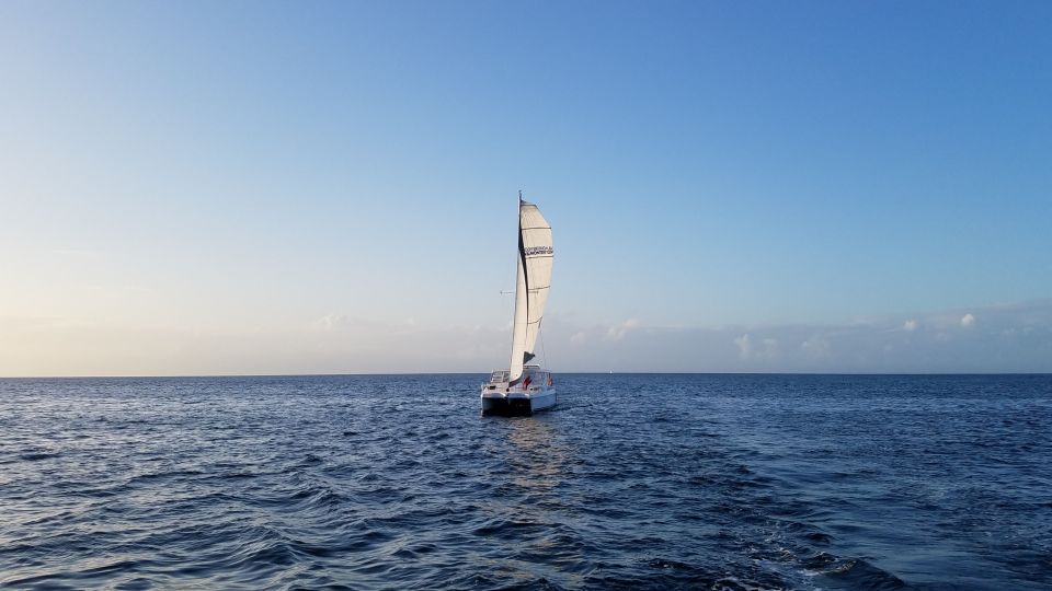 Monterey: Catamaran Sailing Cruise - Meeting Location and Directions