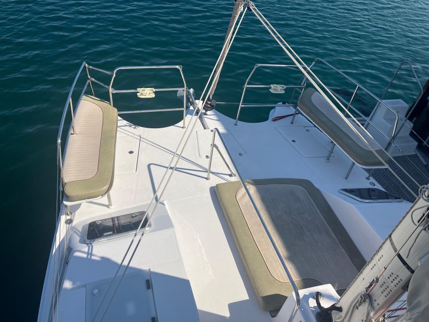 Monterey: Catamaran Sailing Cruise - Sea Creatures and Landmarks Visible