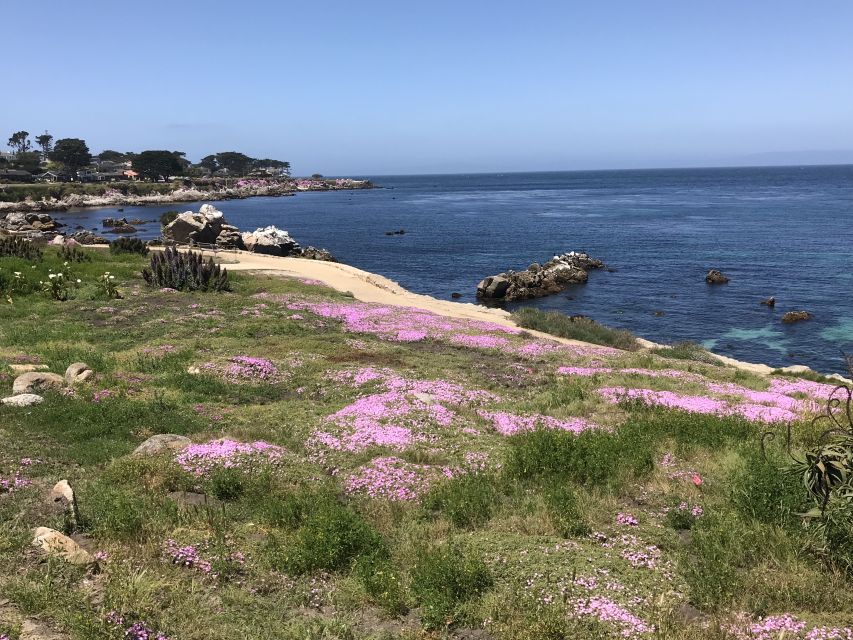 Monterey Peninsula Sightseeing Tour Along the 17 Mile Drive - Key Points