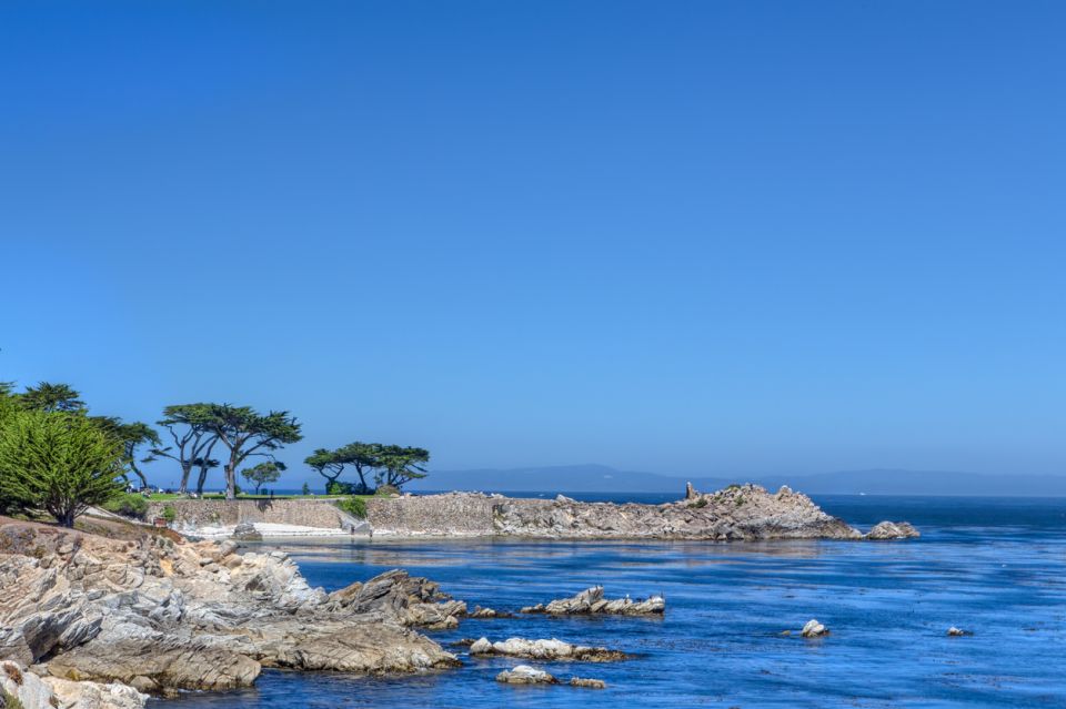 Monterey Peninsula Sightseeing Tour Along the 17 Mile Drive - Highlights of the Tour