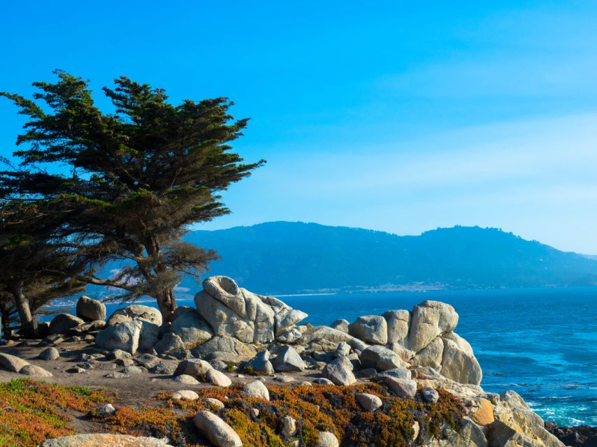 Monterey Peninsula Sightseeing Tour Along the 17 Mile Drive - Experiencing the Natural Beauty