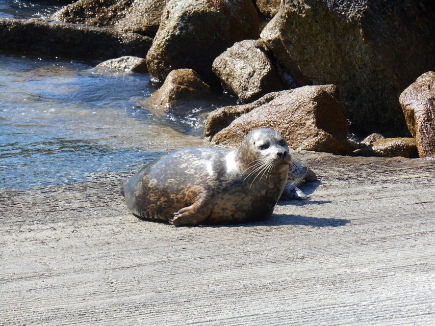 Monterey Peninsula Sightseeing Tour Along the 17 Mile Drive - Tour Inclusions and Exclusions