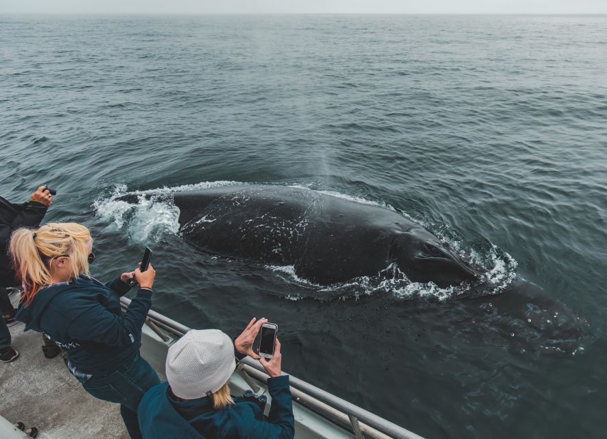Monterey: Sunset Whale Watching Cruise With a Guide - Tour Duration and Inclusions