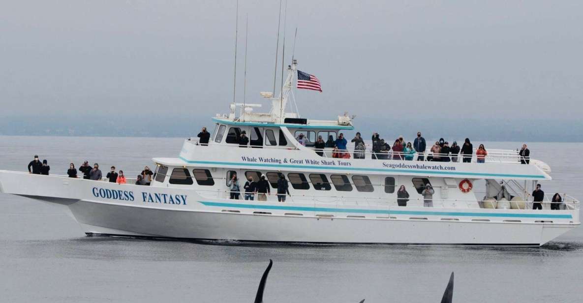 Monterey: Whale Watching Cruise - Exploring the Monterey Bay Ecosystem