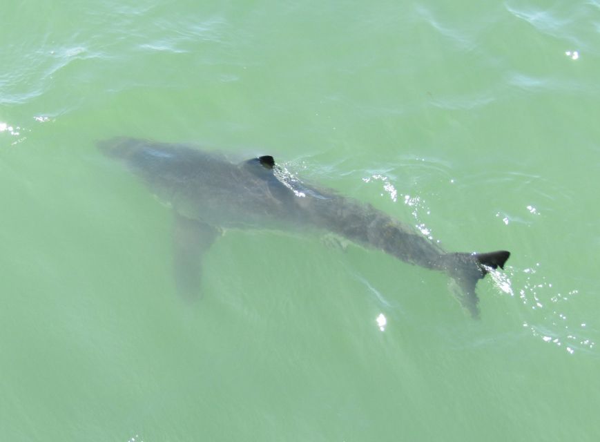 Monterey: Whale Watching Cruise - Recap