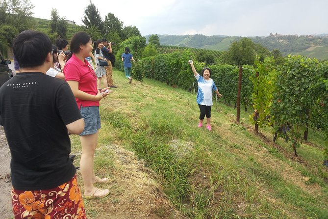 Monteriggioni San Gimignano and Castellina in Chianti Fullday From Rome - Pricing and Booking