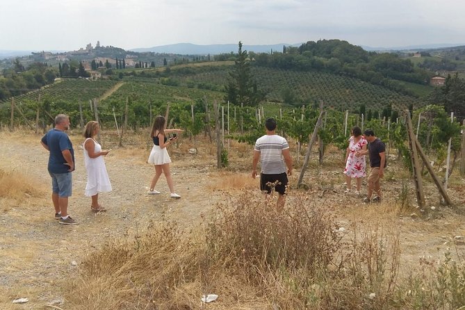 Monteriggioni San Gimignano and Castellina in Chianti Fullday From Rome - Transportation Options