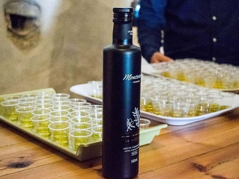 Monterosa Olive Grove: Visit to the Mill & Olive Oil Tasting - Final Thoughts