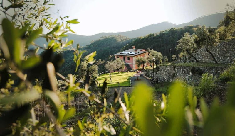 Monterosso al Mare: "Make your Pesto" Cooking Class- 5 Terre - Authenticity and Reviews: What Travelers Say