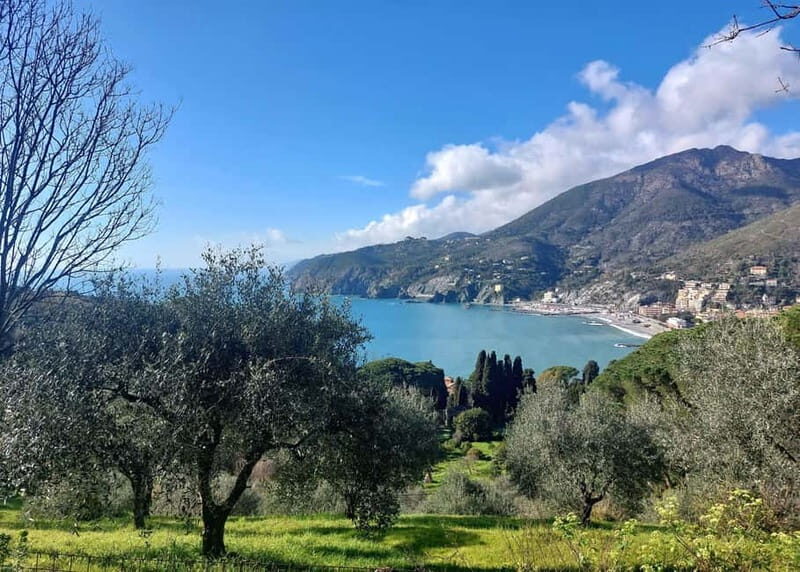 Monterosso Hiking Tour: Discover the Best Trails of 5 Terre - Who Will Love This Tour?