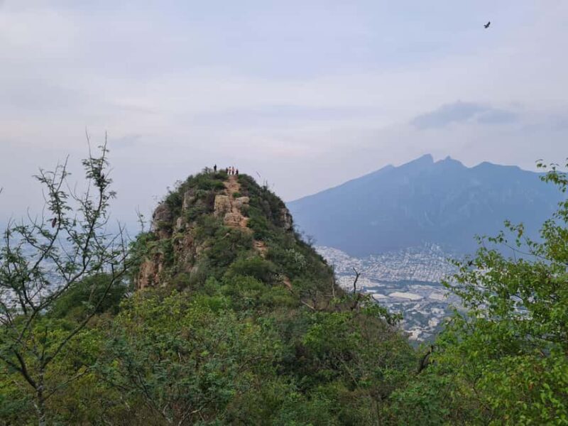 Monterrey: Pet-friendly hiking in Cerro del Chupón - Why This Experience Stands Out