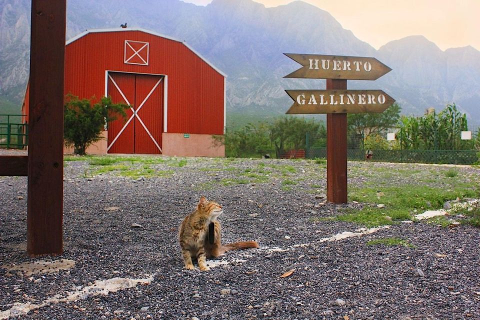 Monterrey: Zoological Adventure at Xenpal - Key Points