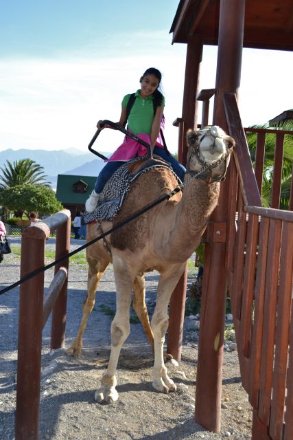 Monterrey: Zoological Adventure at Xenpal - Historical Center of García