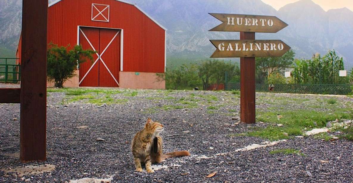 Monterrey: Zoological Adventure at Xenpal - Round-trip Transportation Included