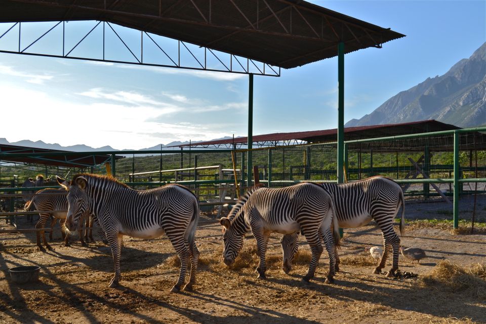 Monterrey: Zoological Adventure at Xenpal - Frequently Asked Questions