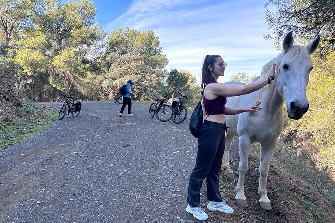 Montes of Málaga E-bike Tour - Who Should Consider This Tour?
