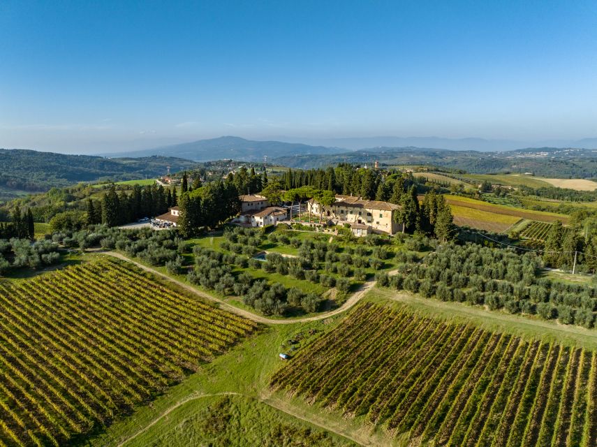 Montespertoli: Poggio Capponi Farm Chianti Wine Tour - Key Points