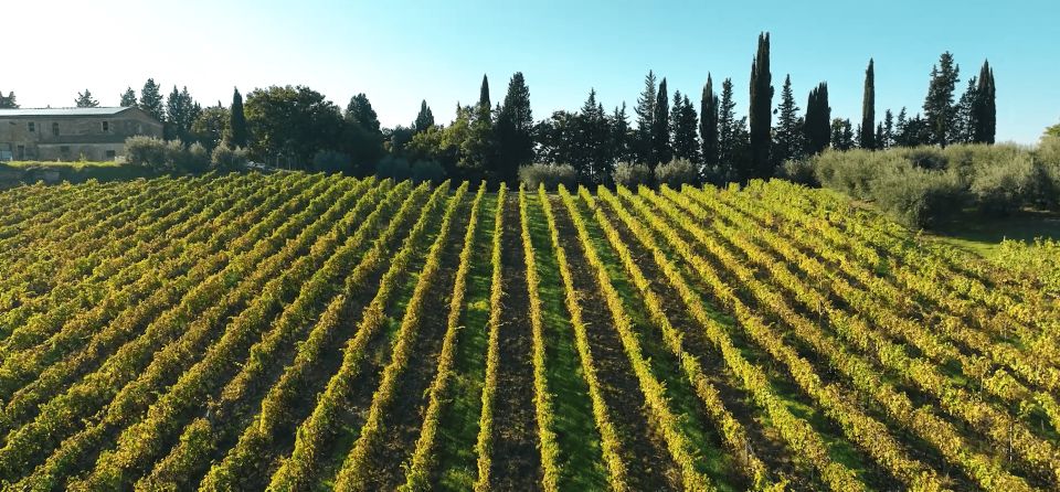 Montespertoli: Poggio Capponi Farm Chianti Wine Tour - Tips for Visitors