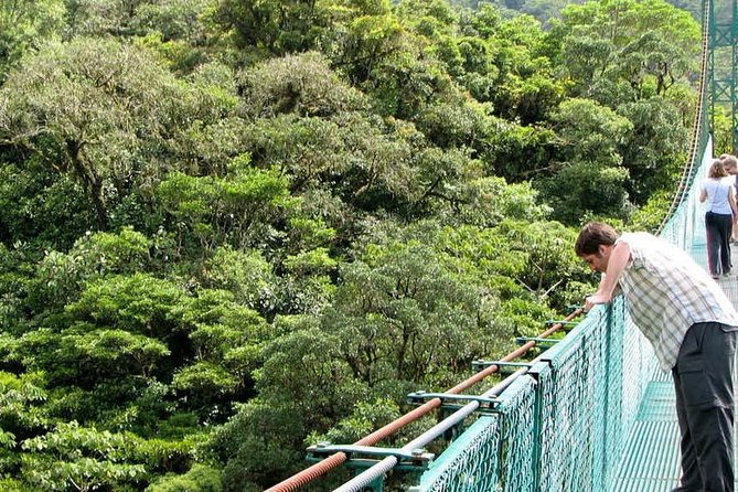 Monteverde Cloud Forest Hanging Bridges - Positive Visitor Reviews