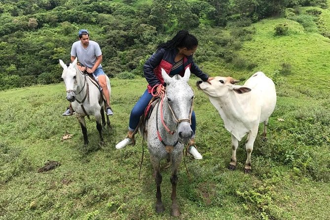 Monteverde Cloud Forest Horseback Riding - Booking and Cancellation Policies