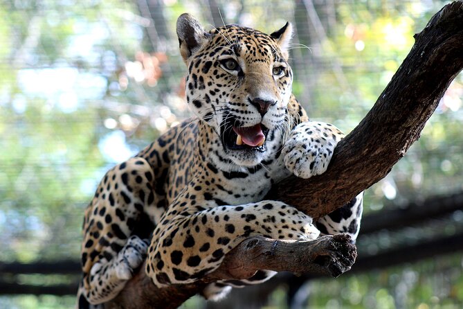 Montgomery City Multi-Attraction Pass Review - Operator Information