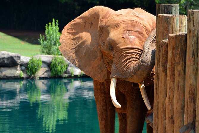 Montgomery, Selma Area Multi-Attraction Pass - Customer Reviews