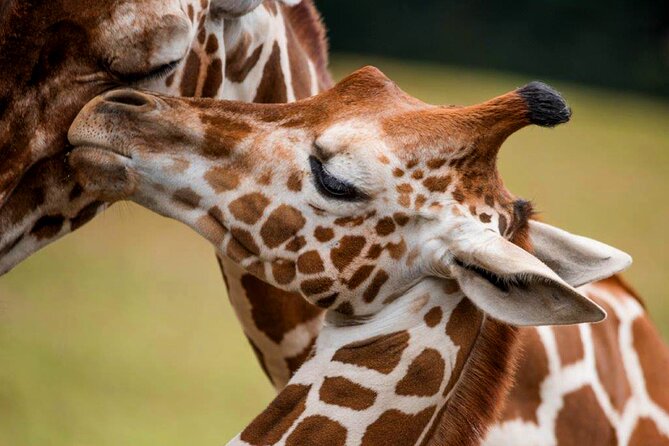 Montgomery, Selma Area Multi-Attraction Pass - Tips for Visitors