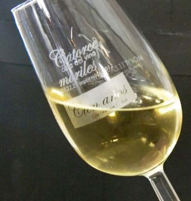 Montilla-Moriles Wine Tasting - The Wines: A Closer Look