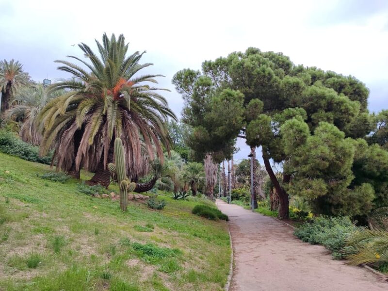 Montjuic Guided E-Bike Tour With Tapas and Panoramic Views - Key Points