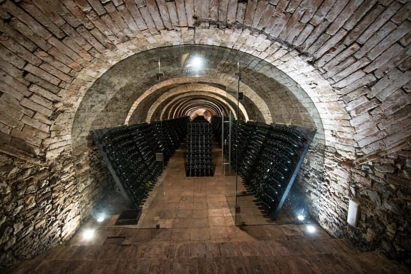 Montone: e-bike tour of the medieval village and visit to a winery - Who Will Love This Tour?