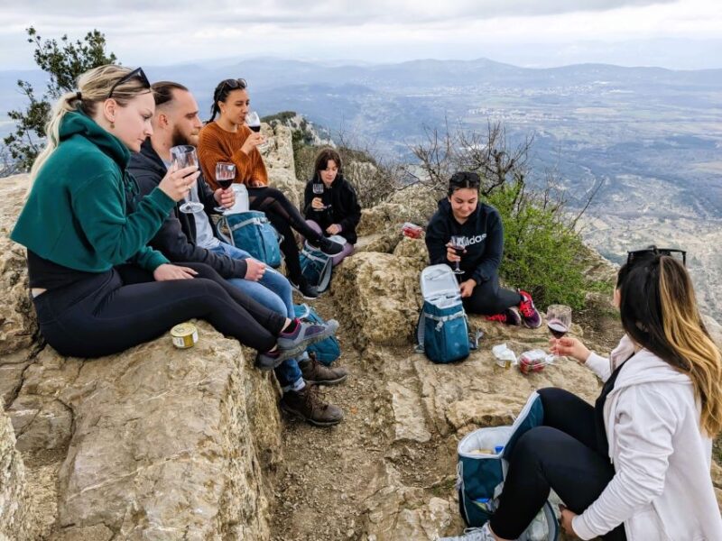 Montpellier: A Day in a Vineyard at Pic Saint Loup - Daily Itinerary Highlights