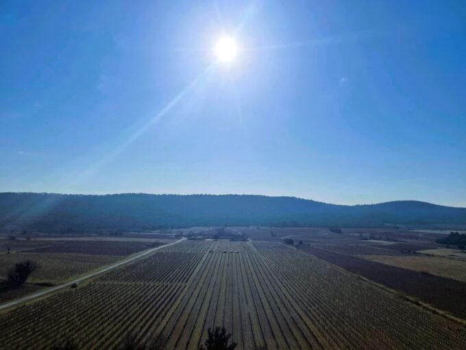Montpellier: A Day in a Vineyard at Pic Saint Loup - Transportation and Logistics