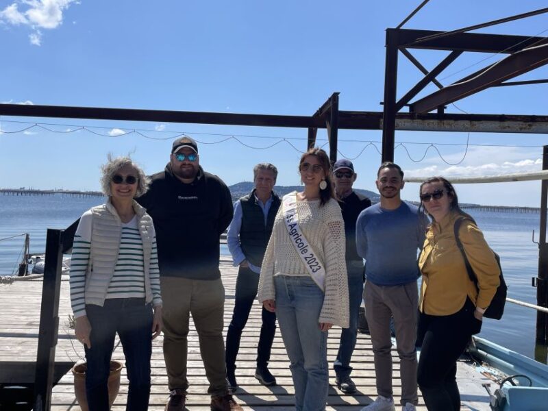 Montpellier: Day Trip With Boat Ride, Oysters, and Wine - Wine Tasting Activities